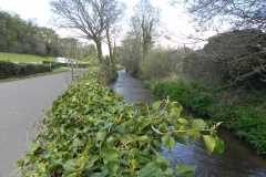 46. Looking downstream from Abbey Mill Bridge