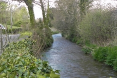 47. Upstream from Abbey Mill Bridge