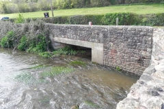 49. Looking upstream from Cleeve Abbey Bridge