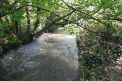 6. Downstream from ROW footbridge No. 4789