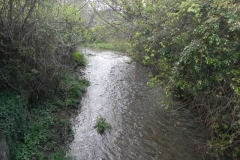 68. Looking upstream from Lower Washford Bridge