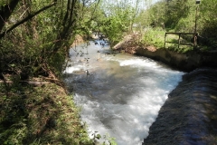 8. Torr Fishery Weir