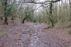 2.-Looking-downstream-from-source