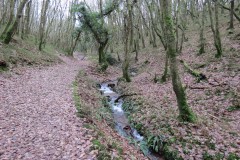 3.-Flowing-through-Ladys-Combe-15