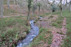 3.-Flowing-through-Ladys-Combe-6