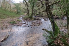 Flowing-through-Ladys-Combe-20