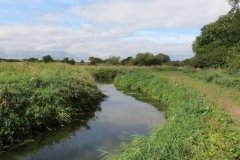 36.-Upstream-from-Waterloo-weir-5