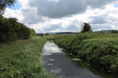 36.-Upstream-from-Waterloo-weir-6