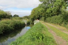 36.-Upstream-from-Waterloo-weir-8