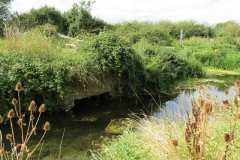 38.-West-Moor-Rhyne-outlet