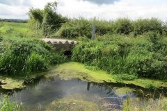 39.-Looking-towards-West-Moor-Rhyne-1