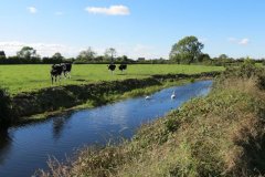 19.-Downstream-from-Watermans-Bow-6