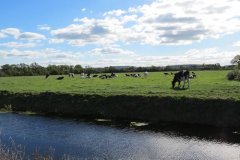 19.-Downstream-from-Watermans-Bow-7