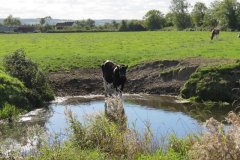 19.-Downstream-from-Watermans-Bow-8