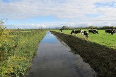 19.-Downstream-from-Watermans-Bow-9