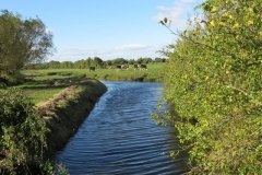2.-Downstream-from-Oldbridges-1
