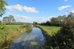5.-Upstream-from-Puxton-Lane-Bridge-1