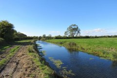 5.-Upstream-from-Puxton-Lane-Bridge-2