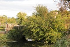 9.-Willow-Farm-Bridge-downstream-arch