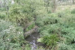 B. Pylle Road Bridge to Cockmill