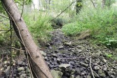 53.River-View-Sleights-Woods