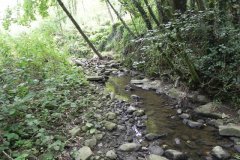 54.River-View-Sleights-Woods