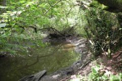 55.River-View-Sleights-Woods