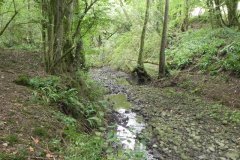 56.River-View-Sleights-Woods