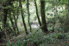 60.-Looking-downstream-from-SDJR-Culvert-248-Upstream-Arch