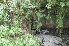 65.SDJR-Culvert-250-downstream-Arch