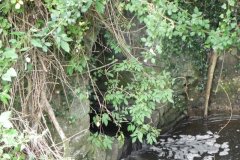 66.SDJR-Culvert-250-downstream-Arch