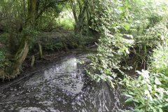 67.River-View-upstream-of-Cockmill