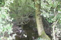 73.River-View-upstream-of-Cockmill