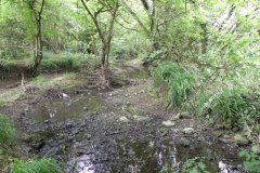 74.River-View-upstream-of-Cockmill