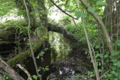 75.River-View-upstream-of-Cockmill
