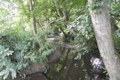 82.-Looking-downstream-from-Cockmill-Ford