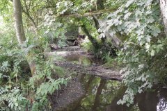 83.Looking-downstream-from-Cockmill-Ford