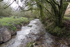 42. Downstream from Riscombe Combe