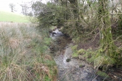 44. Downstream from Riscombe Combe