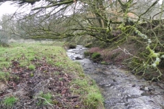52. Downstream from Riscombe Combe