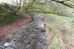 53. Downstream from Riscombe Combe
