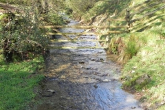 57. Looking upstream from Withycombe Bridge