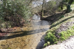 60. Looking downstream from Withycombe Bridge