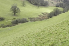 63d. The Punchbowl