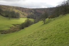 63e. The Punchbowl