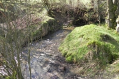 64. Downstream from Withycombe