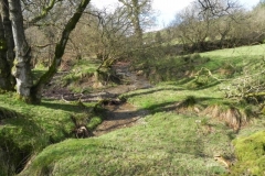 65. Downstream from Withycombe