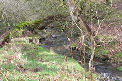 68. Downstream from Withycombe
