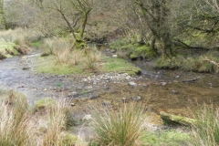 69. Downstream from Withycombe