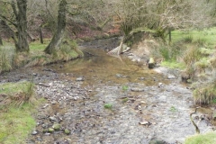 70. Downstream from Withycombe